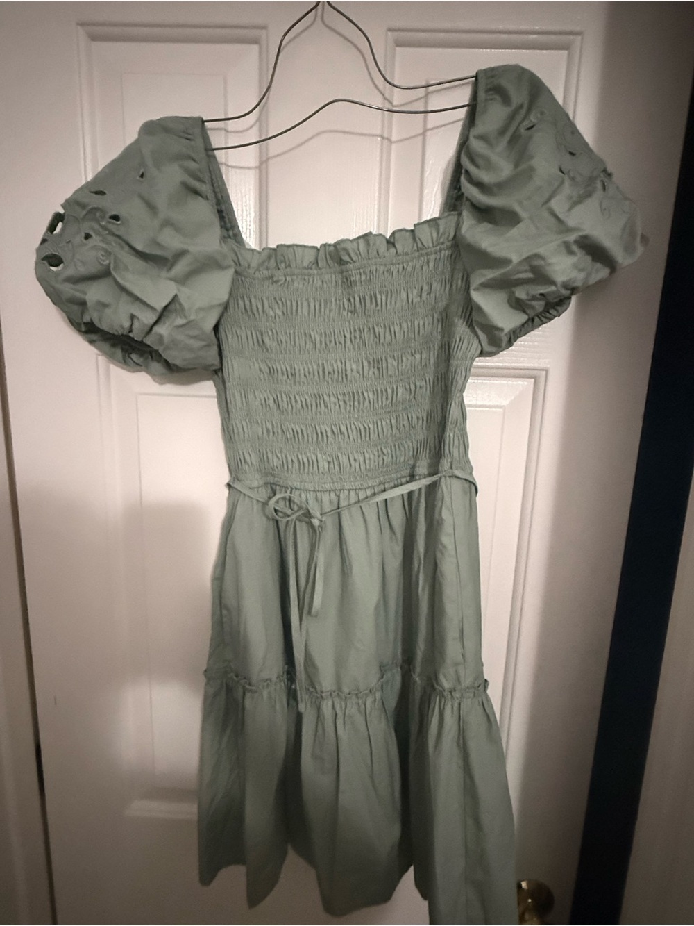 Francesca's Collections Sage Green Puff Sleeve Smocked Dress